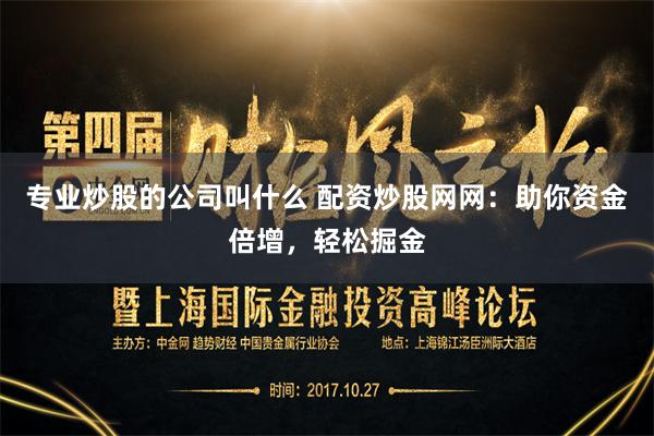 专业炒股的公司叫什么 配资炒股网网：助你资金倍增，轻松掘金