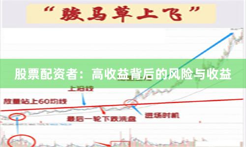 股票配资者：高收益背后的风险与收益