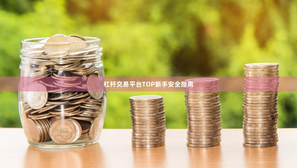 杠杆交易平台TOP新手安全指南